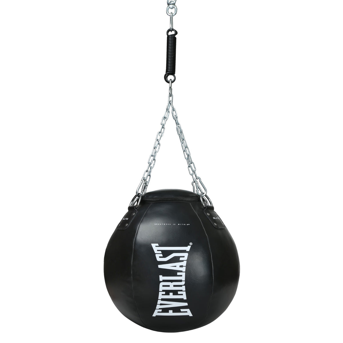 Elite Pro Wrecking Ball