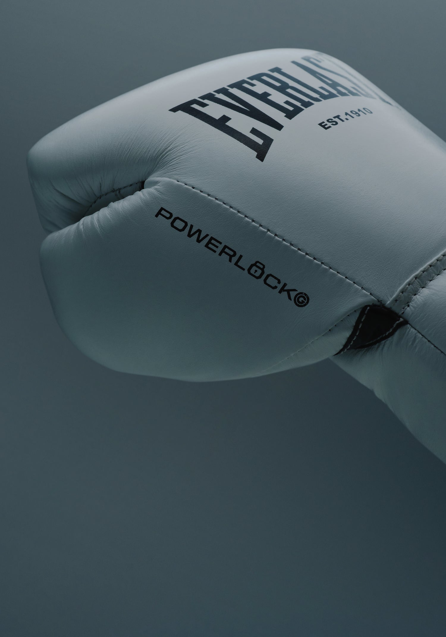 Everlast Powerlock 8oz 2点セット31日掲載終了 Everlast Powerlock 8oz 2点セット31日掲載終了 | ヤマダウェブコム
