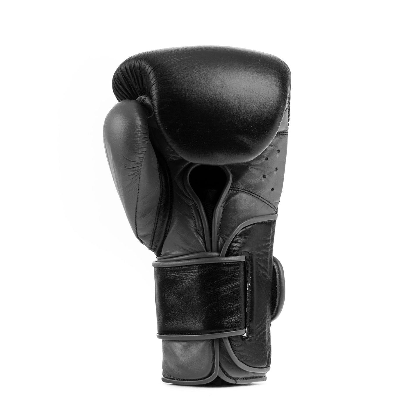 Powerlock 2 Hook & Loop Pro Training Gloves
