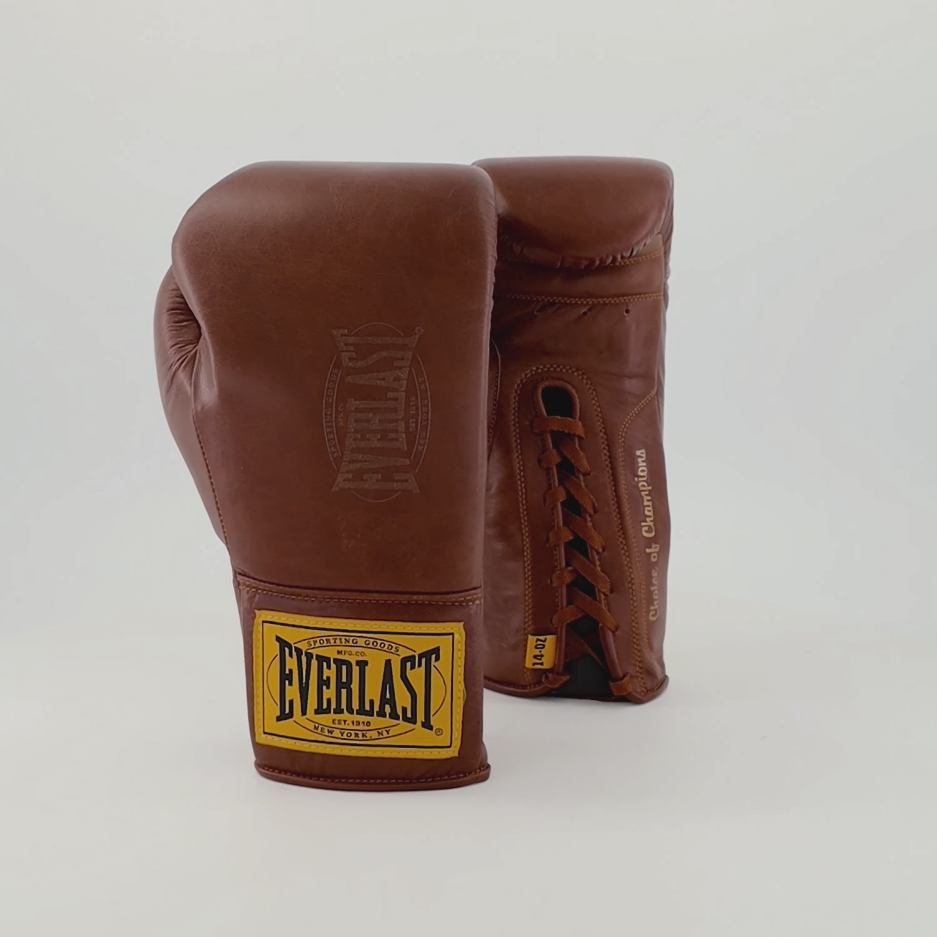 1910 Pro Leather Laced Training Boxing Gloves – Everlast