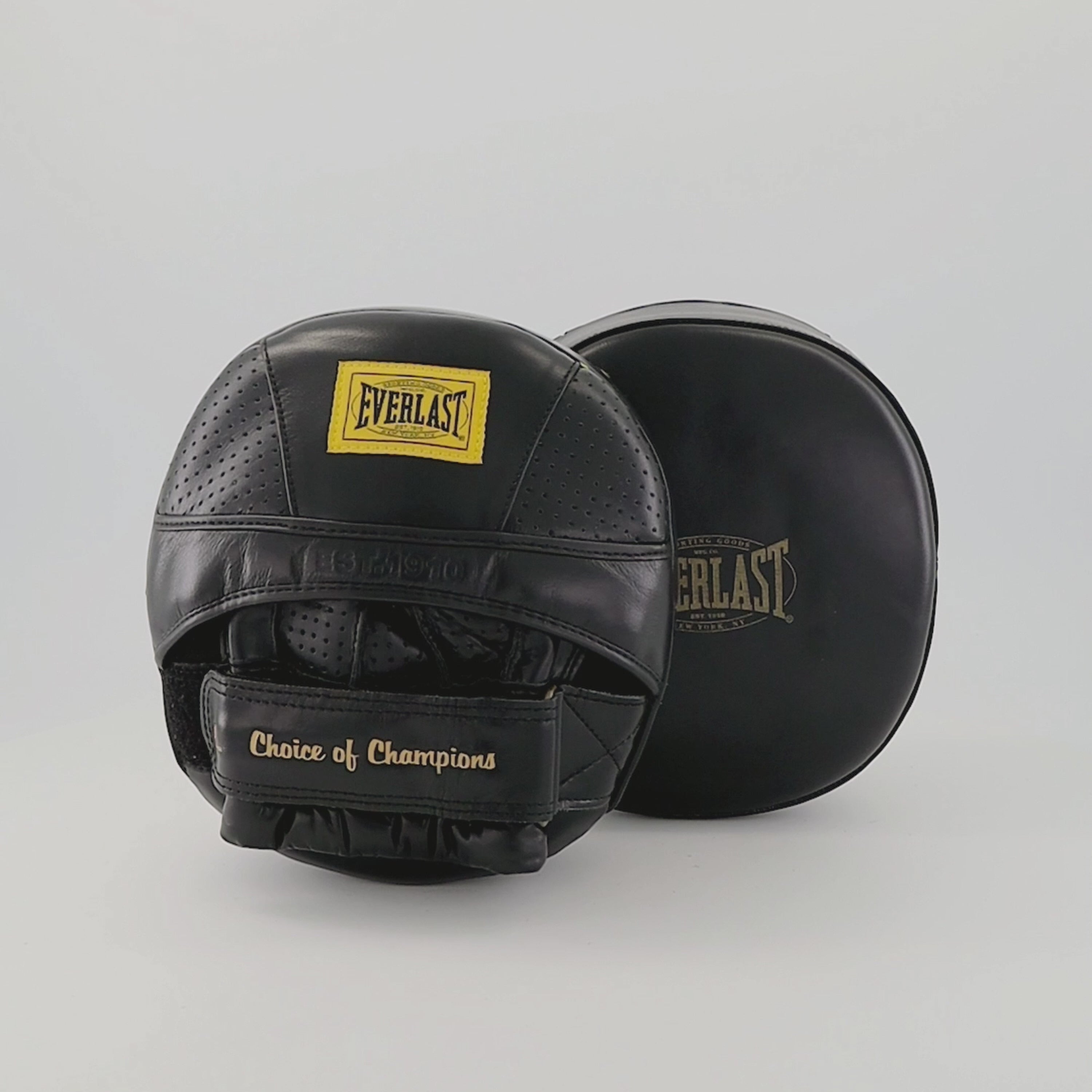 1910 Pro Leather Air Core Focus Mitts – Everlast