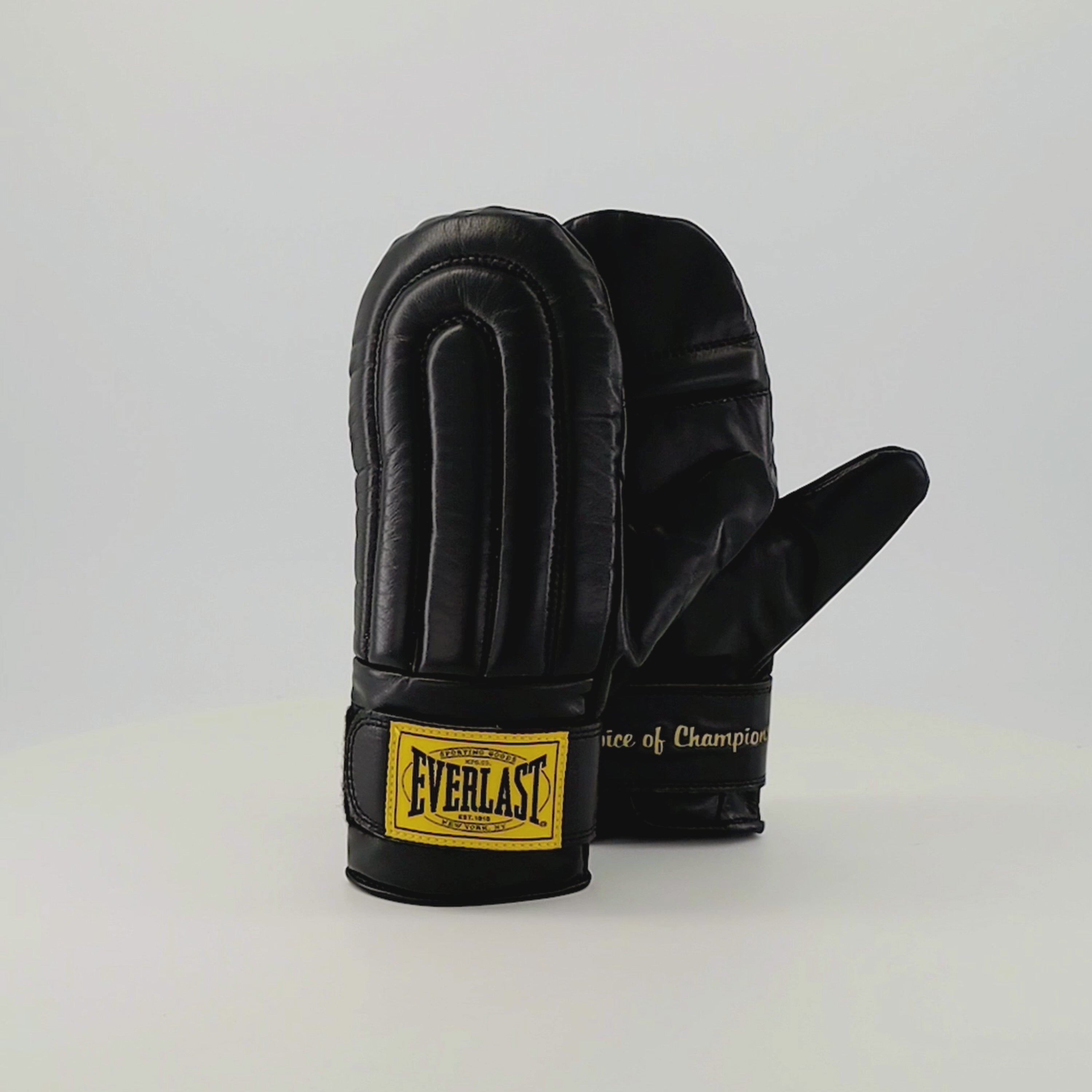1910 Pro Leather Bag Mitts – Everlast
