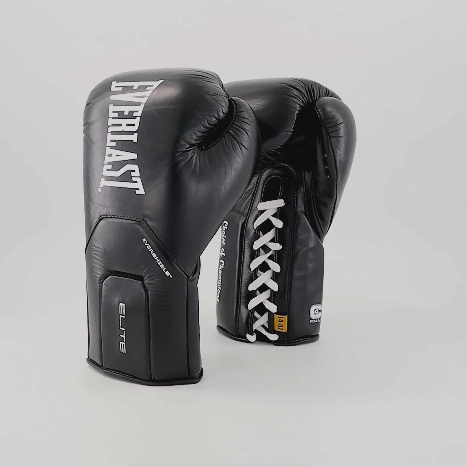A pair of black Everlast Elite boxing gloves, one showing the front with 'EVERLAST' branding and the other showing the laces with 'Cluster of Champions' text, on a plain background.