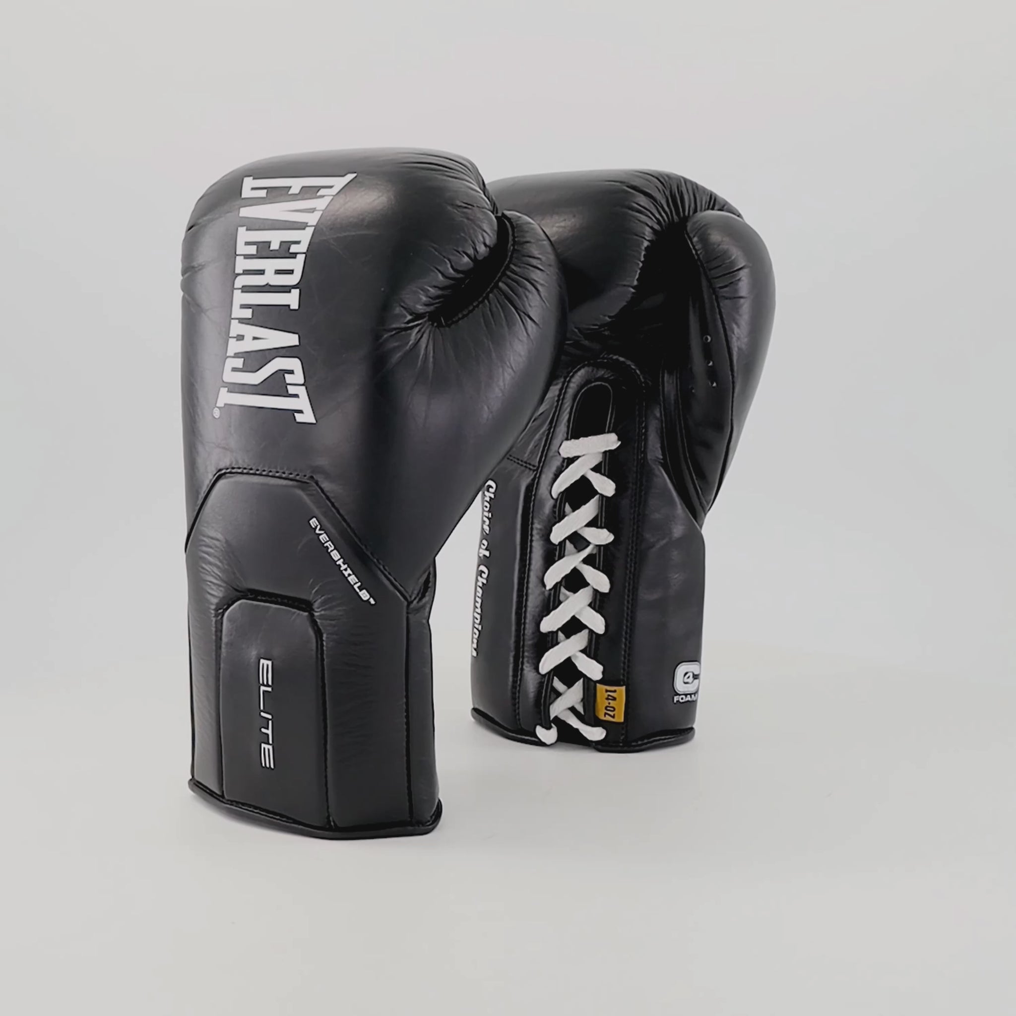 A pair of black Everlast Elite boxing gloves, one showing the front with 'EVERLAST' branding and the other showing the laces with 'Cluster of Champions' text, on a plain background.