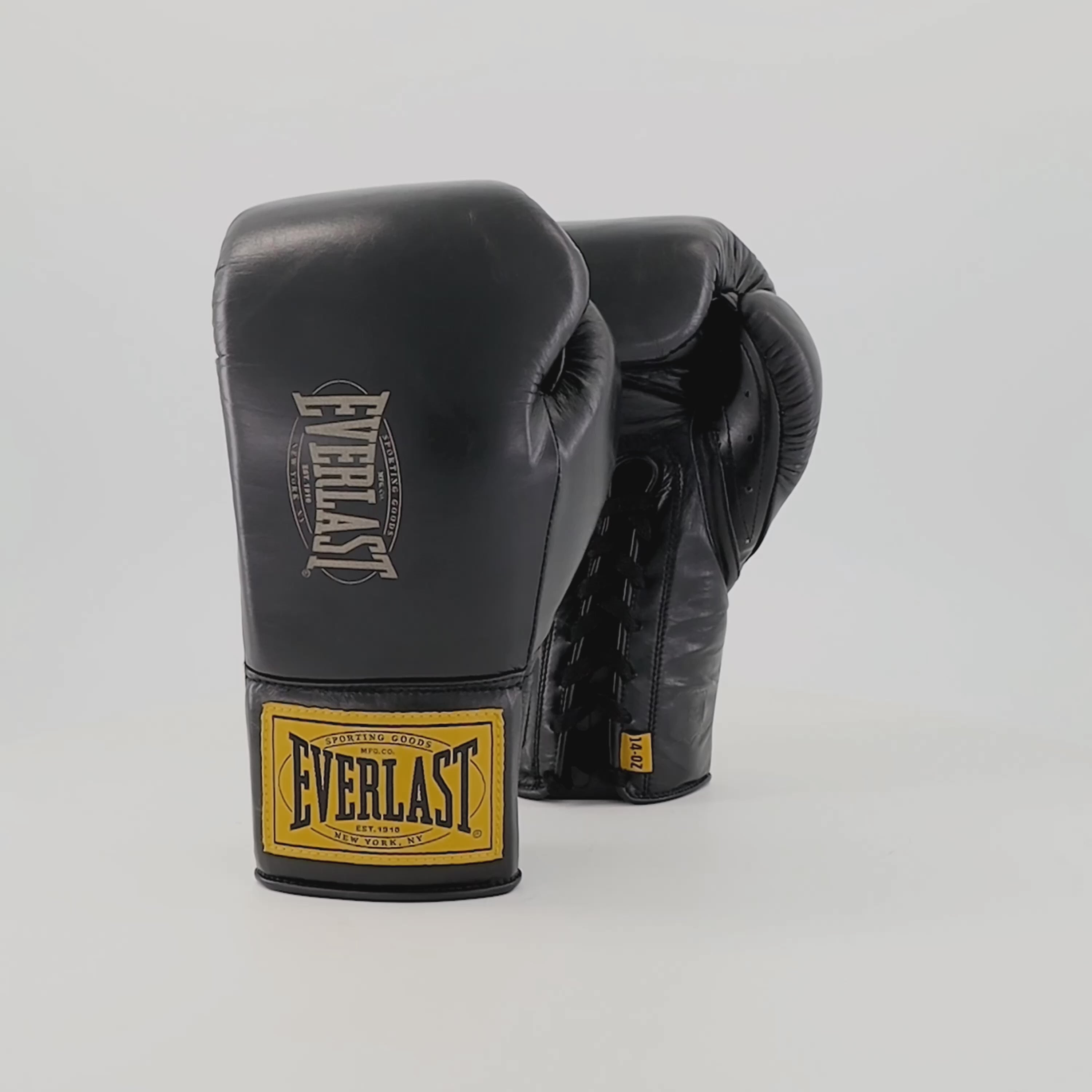 1910 Pro Leather Laced Training Boxing Gloves – Everlast