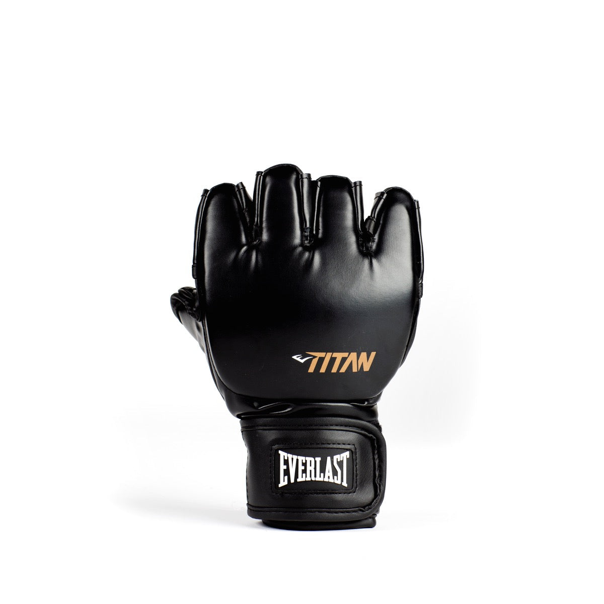 Titan MMA Glove - Everlast