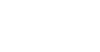 Everlast Logo